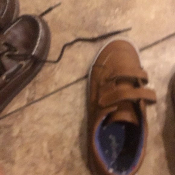 Cat - Picture 5 of 8